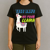 Test Day? No Probllama  T-Shirt