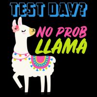 Test Day? No Probllama  T-Shirt