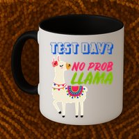 Test Day? No Probllama  Mug