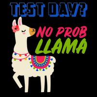 Test Day? No Probllama  Mug