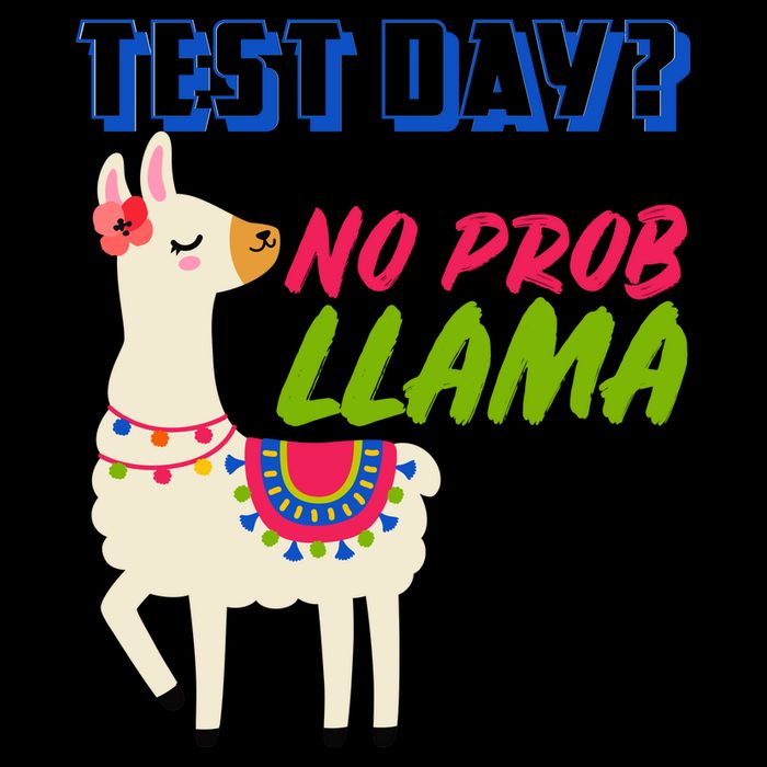 Test Day? No Probllama  Mug