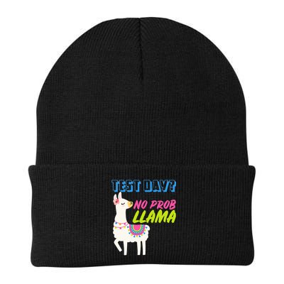 Test Day? No Probllama  Beanie