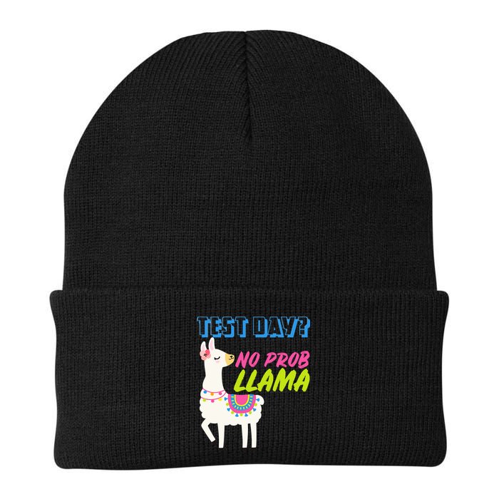 Test Day? No Probllama  Beanie
