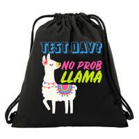 Test Day? No Probllama  Drawstring Bag