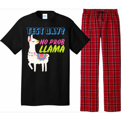 Test Day? No Probllama  Pajama Set