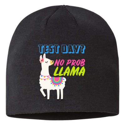 Test Day? No Probllama  Sustainable Beanie