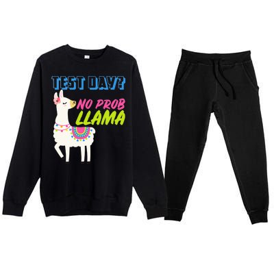 Test Day? No Probllama  Premium Crewneck Sweatsuit Set