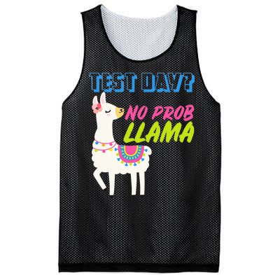 Test Day? No Probllama  Mesh Reversible Basketball Jersey Tank