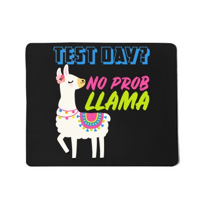 Test Day? No Probllama  Mousepad