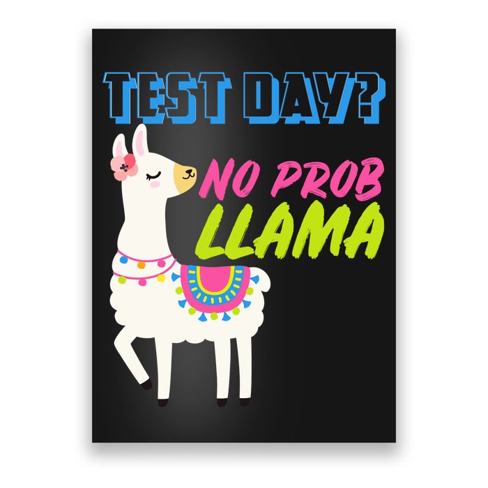 Test Day? No Probllama  Poster