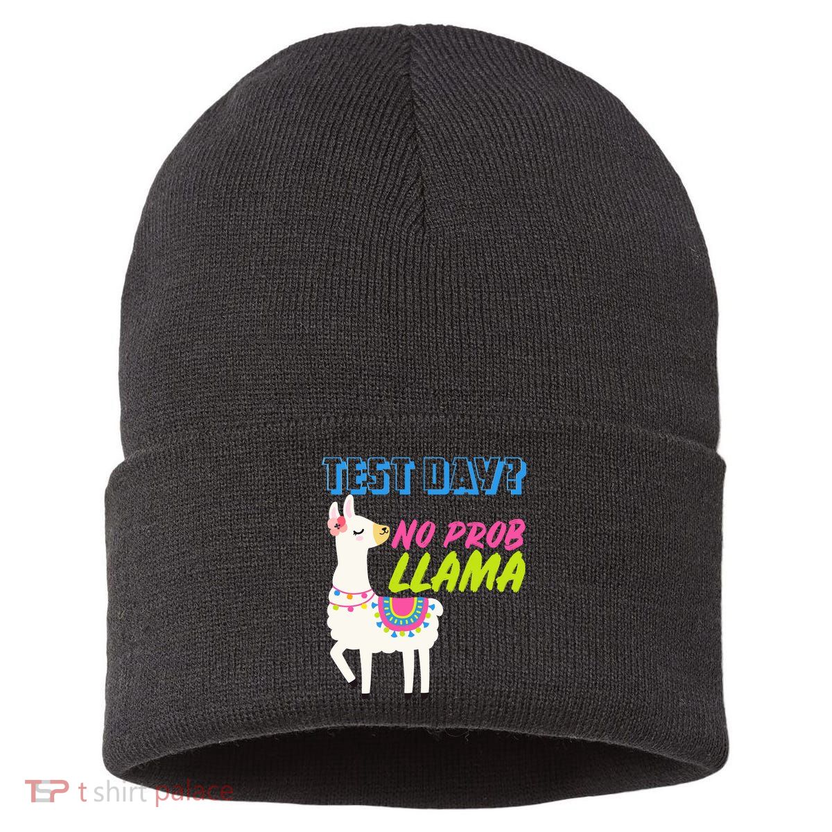 Test Day? No Probllama  Sustainable Knit Beanie