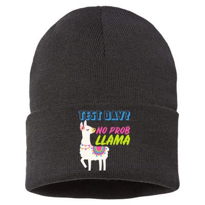 Test Day? No Probllama  Sustainable Knit Beanie