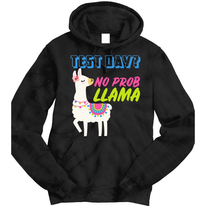 Test Day? No Probllama  Tie Dye Hoodie