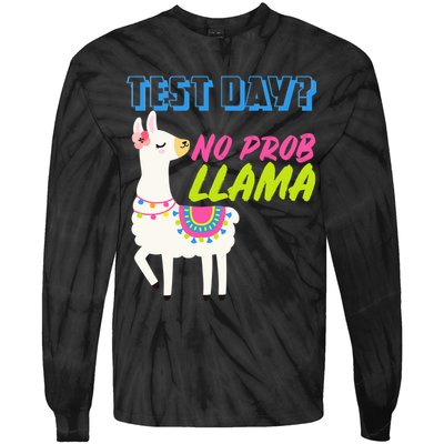 Test Day? No Probllama  Tie-Dye Long Sleeve Shirt