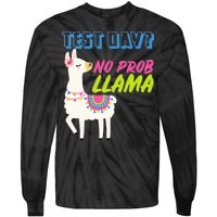 Test Day? No Probllama  Tie-Dye Long Sleeve Shirt