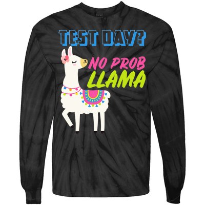 Test Day? No Probllama  Tie-Dye Long Sleeve Shirt