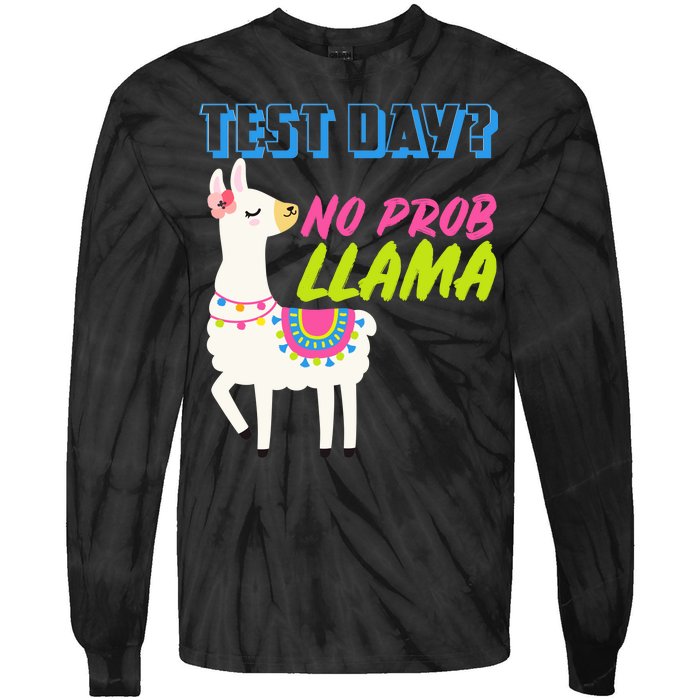 Test Day? No Probllama  Tie-Dye Long Sleeve Shirt