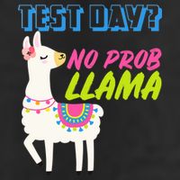 Test Day? No Probllama  Trucker Hat
