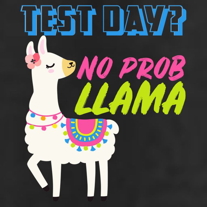 Test Day? No Probllama  Trucker Hat