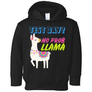 Test Day? No Probllama  Toddler Hoodie