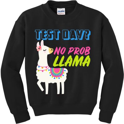Test Day? No Probllama  Kids Sweatshirt