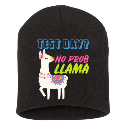 Test Day? No Probllama  Short Acrylic Beanie