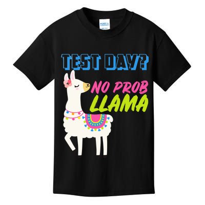 Test Day? No Probllama  Kids T-Shirt