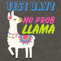 Test Day? No Probllama  Cotton Canvas Backpack