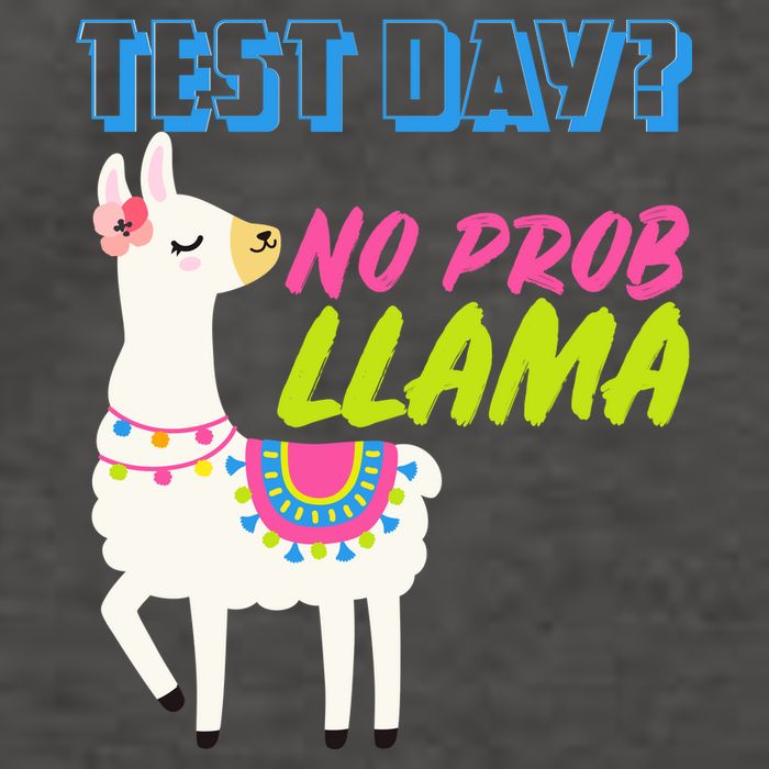 Test Day? No Probllama  Vector Backpack