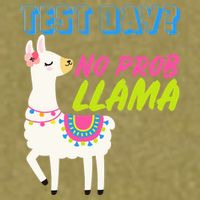 Test Day? No Probllama  Garment-Dyed Women's Muscle Tee