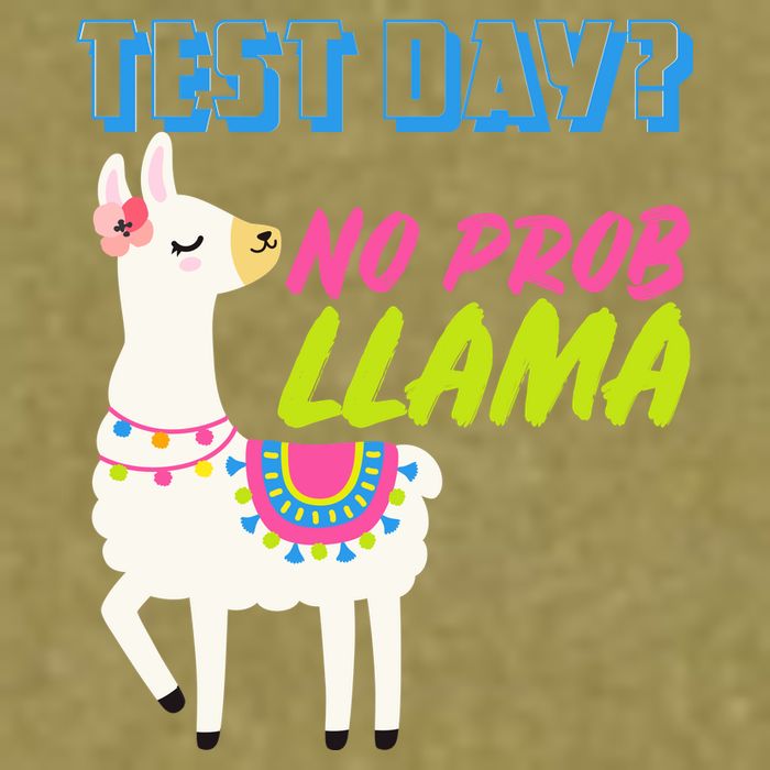 Test Day? No Probllama  Garment-Dyed Women's Muscle Tee