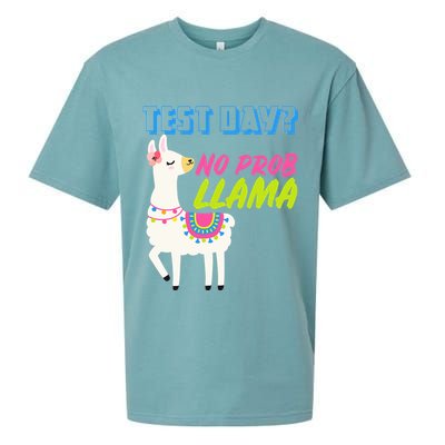 Test Day? No Probllama  Sueded Cloud Jersey T-Shirt