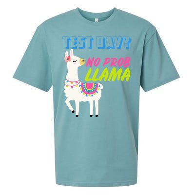 Test Day? No Probllama  Sueded Cloud Jersey T-Shirt