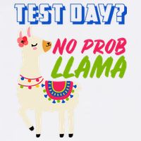Test Day? No Probllama  Garment-Dyed Sweatshirt