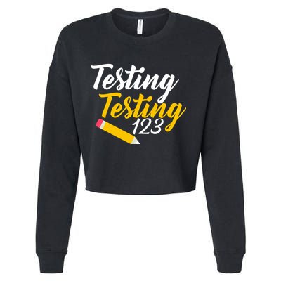 Testing Testing 123 Pencil Cropped Pullover Crew