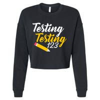 Testing Testing 123 Pencil Cropped Pullover Crew