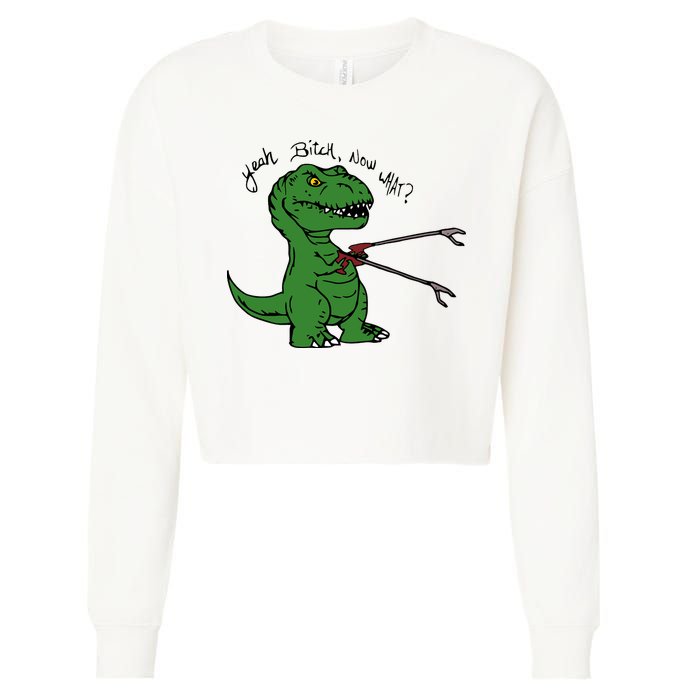 TRex Evolved T Rex With Grabbers Cropped Pullover Crew