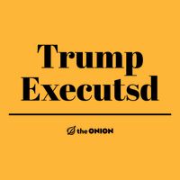 Trump Executed The Onion Pom Pom 12in Knit Beanie