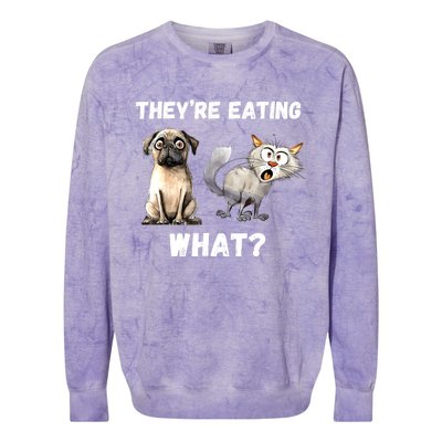 They’Re Eating The Dogs They’Re Eating The Cats The Pets Colorblast Crewneck Sweatshirt