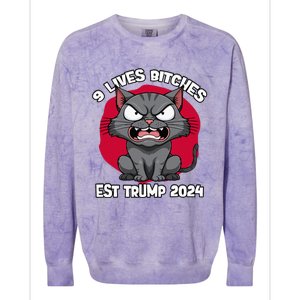 TheyRe Eating The Dogs Cats Pets Save Our Pets Trump Colorblast Crewneck Sweatshirt