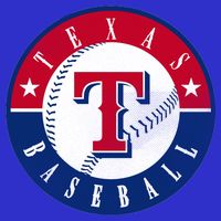 Texas Baseball Fan Vintage T-Shirt