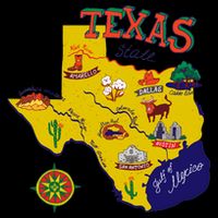 Texas Cartoon Map Ladies Essential Flowy Tank