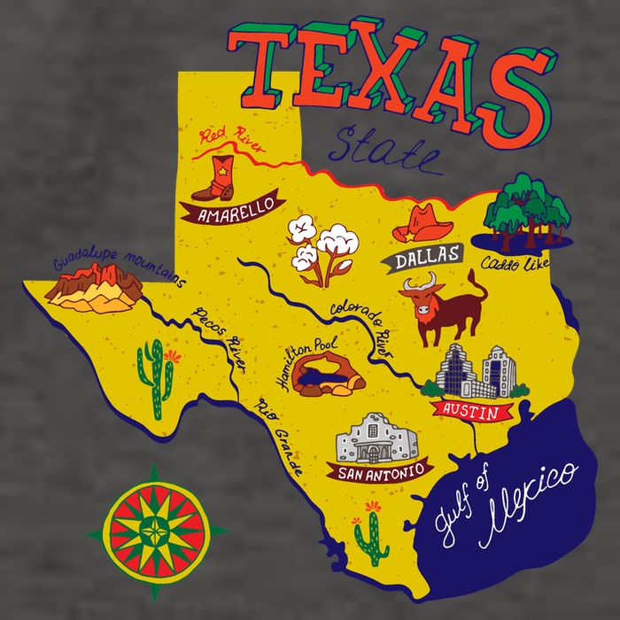 Texas Cartoon Map Vector Backpack