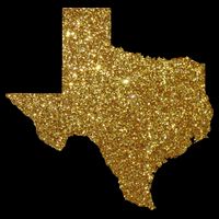 Texas Limited Edition Gold Glitz Drawstring Bag