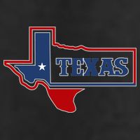 Texas Logo Adult Drive Performance Visor