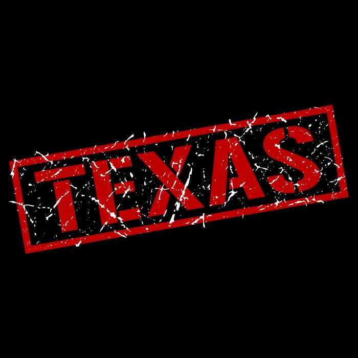 Texas Stamp of Approval Distressed Cropped Pullover Crew