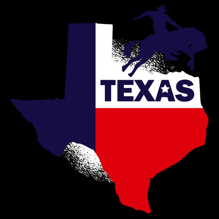Texas State Cowboy Mug
