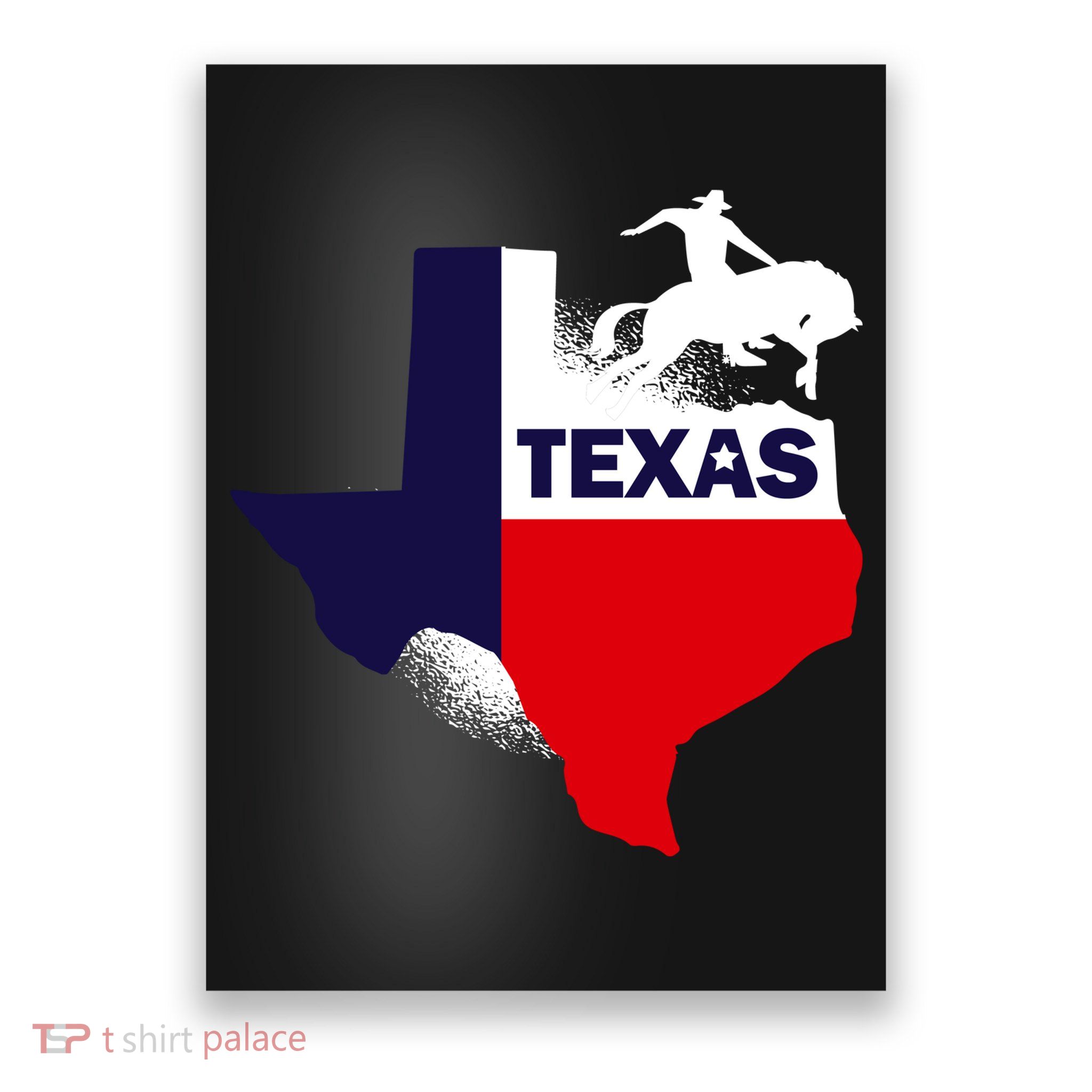 Texas State Cowboy Poster