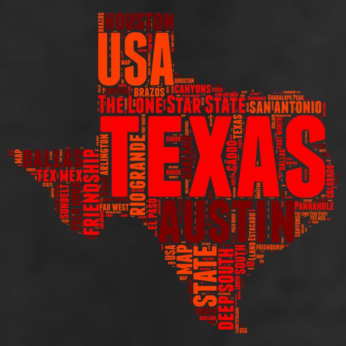 Texas State Word Map 7 Panel Mesh Trucker Snapback Hat