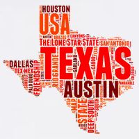 Texas State Word Map USA-Made Doggie Bandana